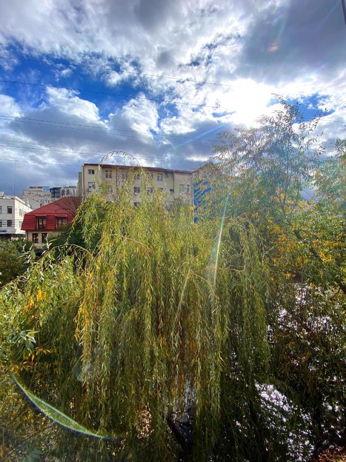 Willowhome - Apartament *