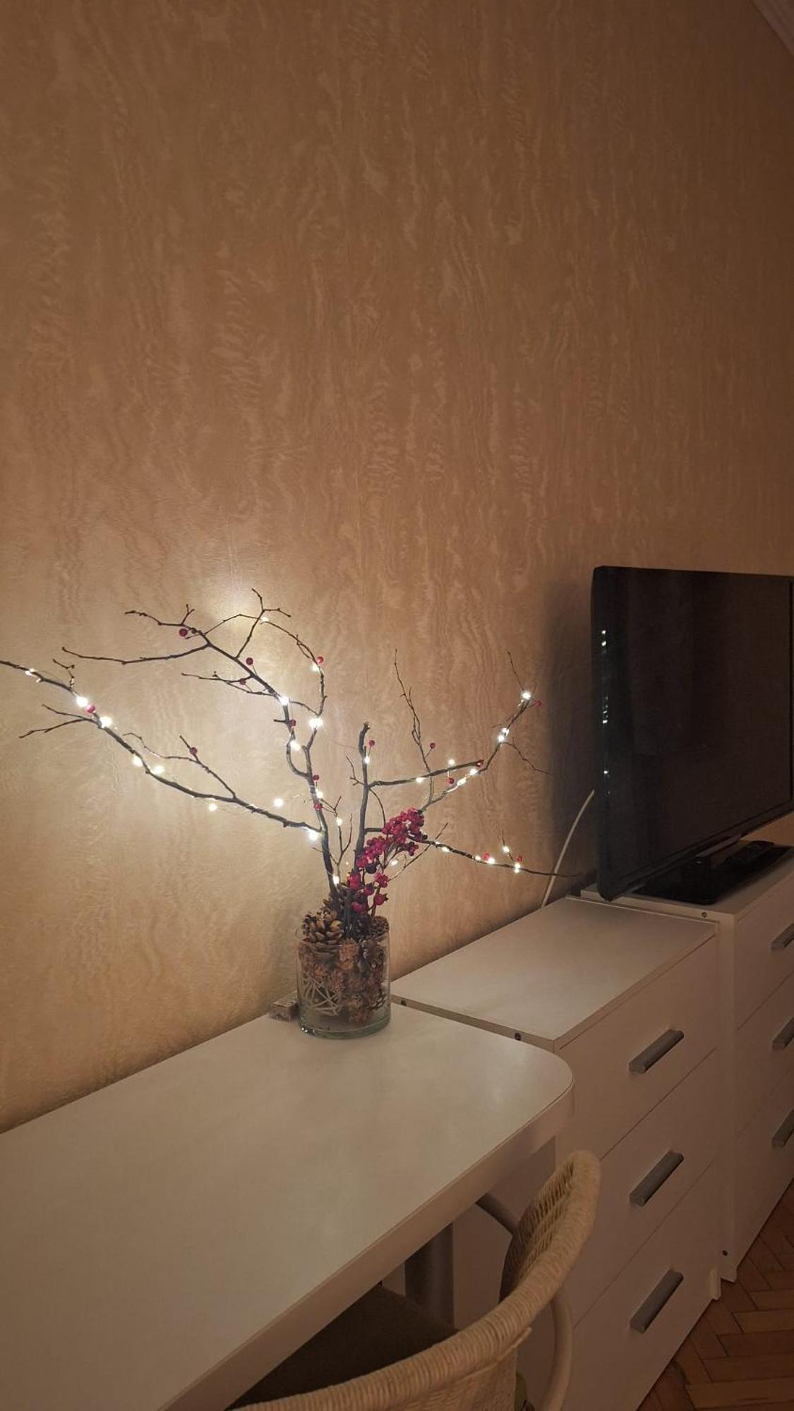 Apartament Willowhome - *